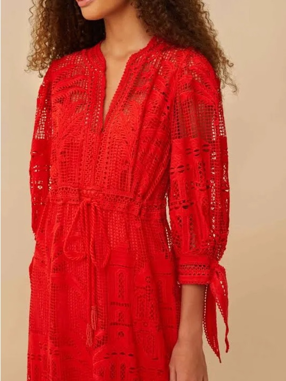 FARM Rio Red Morada Boa Guipure Maxi Dress - Picture 4 of 9